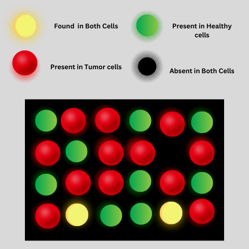 present-in-tumor-cells-1.png